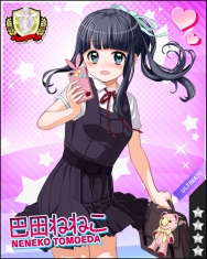 本日のビーナス