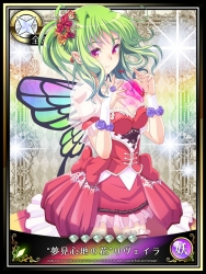 本日のビーナス